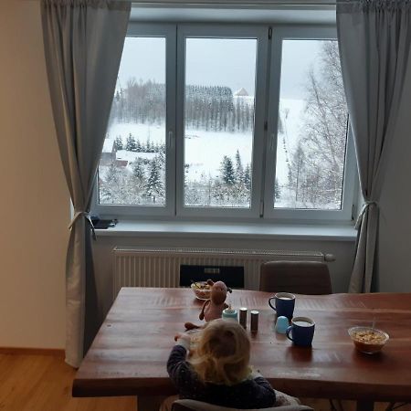 Apartman U Kunstatskeho Mlyna Orlicke Zahori Zewnętrze zdjęcie
