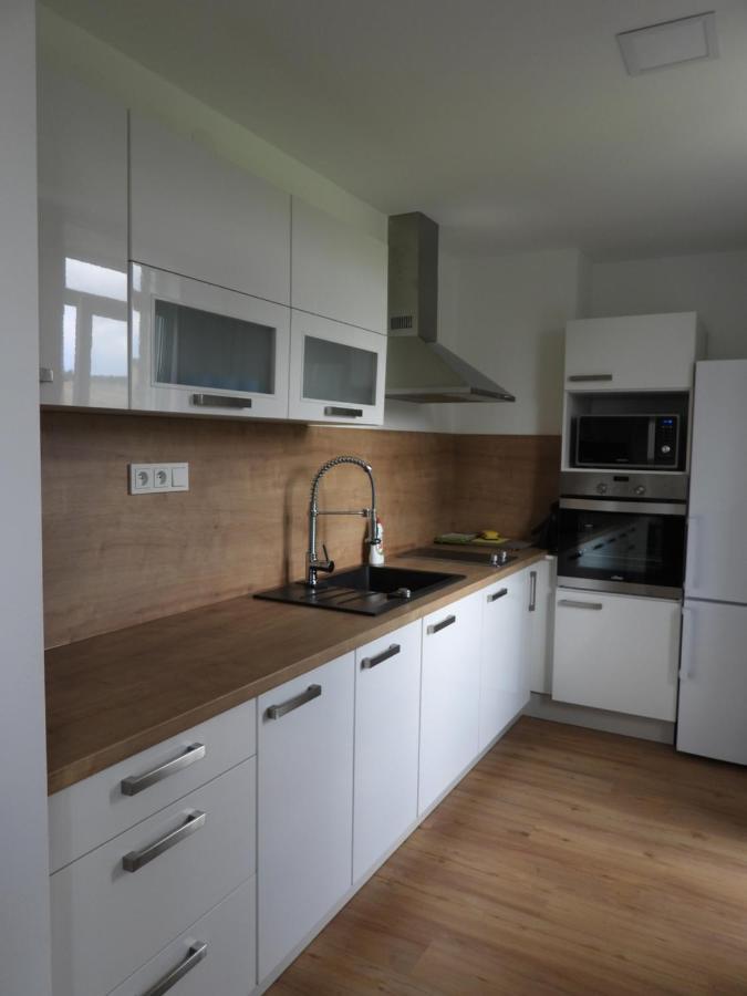 Apartament Apartman U Kunstatskeho Mlyna Orlicke Zahori Zewnętrze zdjęcie