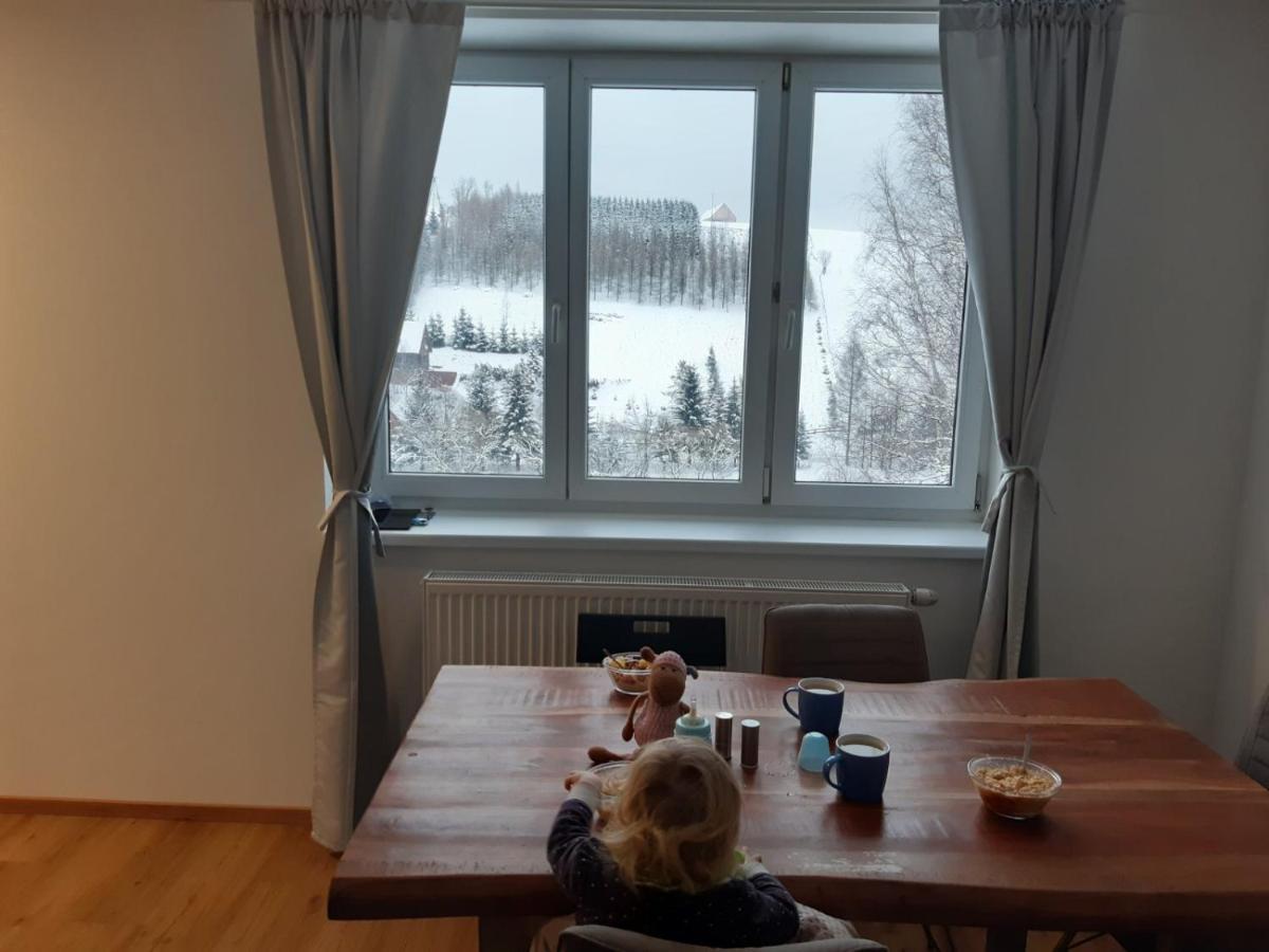 Apartament Apartman U Kunstatskeho Mlyna Orlicke Zahori Zewnętrze zdjęcie