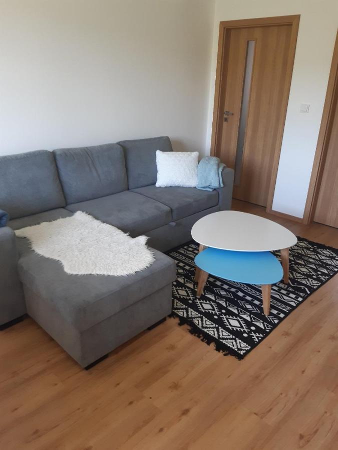 Apartament Apartman U Kunstatskeho Mlyna Orlicke Zahori Zewnętrze zdjęcie