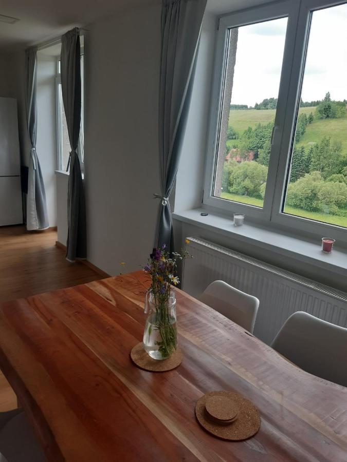 Apartament Apartman U Kunstatskeho Mlyna Orlicke Zahori Zewnętrze zdjęcie