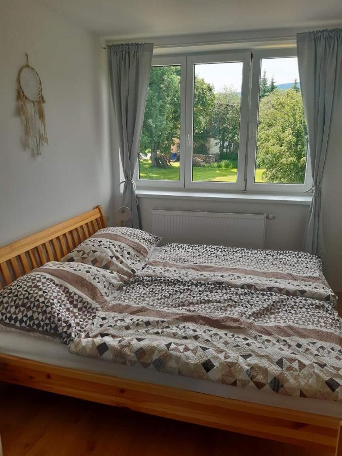 Apartament Apartman U Kunstatskeho Mlyna Orlicke Zahori Zewnętrze zdjęcie