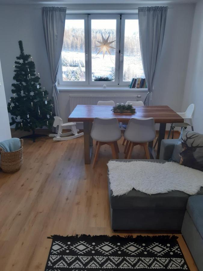 Apartament Apartman U Kunstatskeho Mlyna Orlicke Zahori Zewnętrze zdjęcie