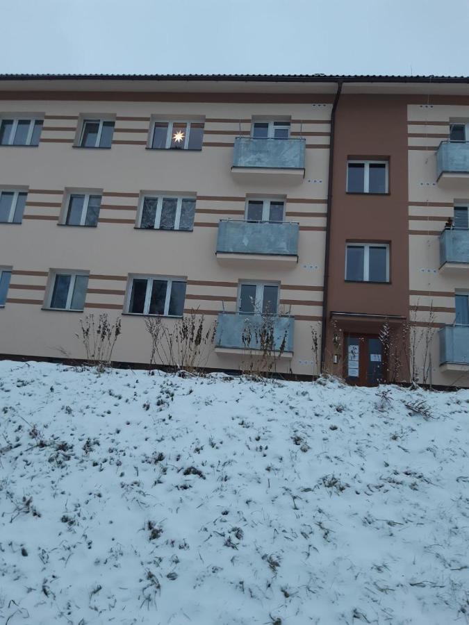 Apartament Apartman U Kunstatskeho Mlyna Orlicke Zahori Zewnętrze zdjęcie