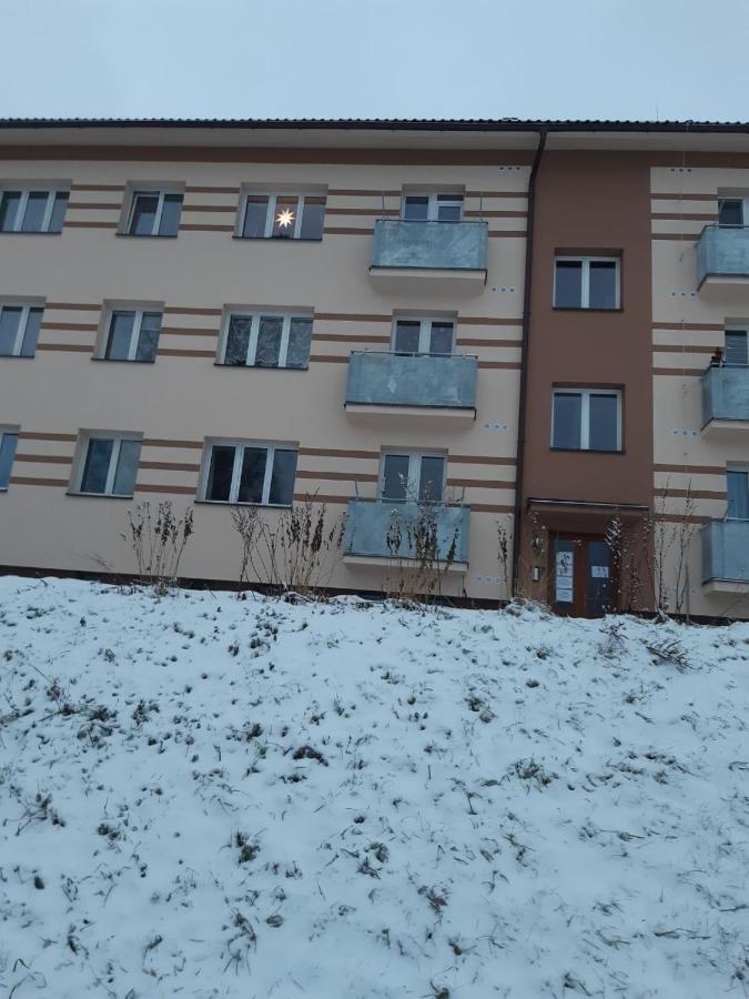 Apartman U Kunstatskeho Mlyna Orlicke Zahori Zewnętrze zdjęcie