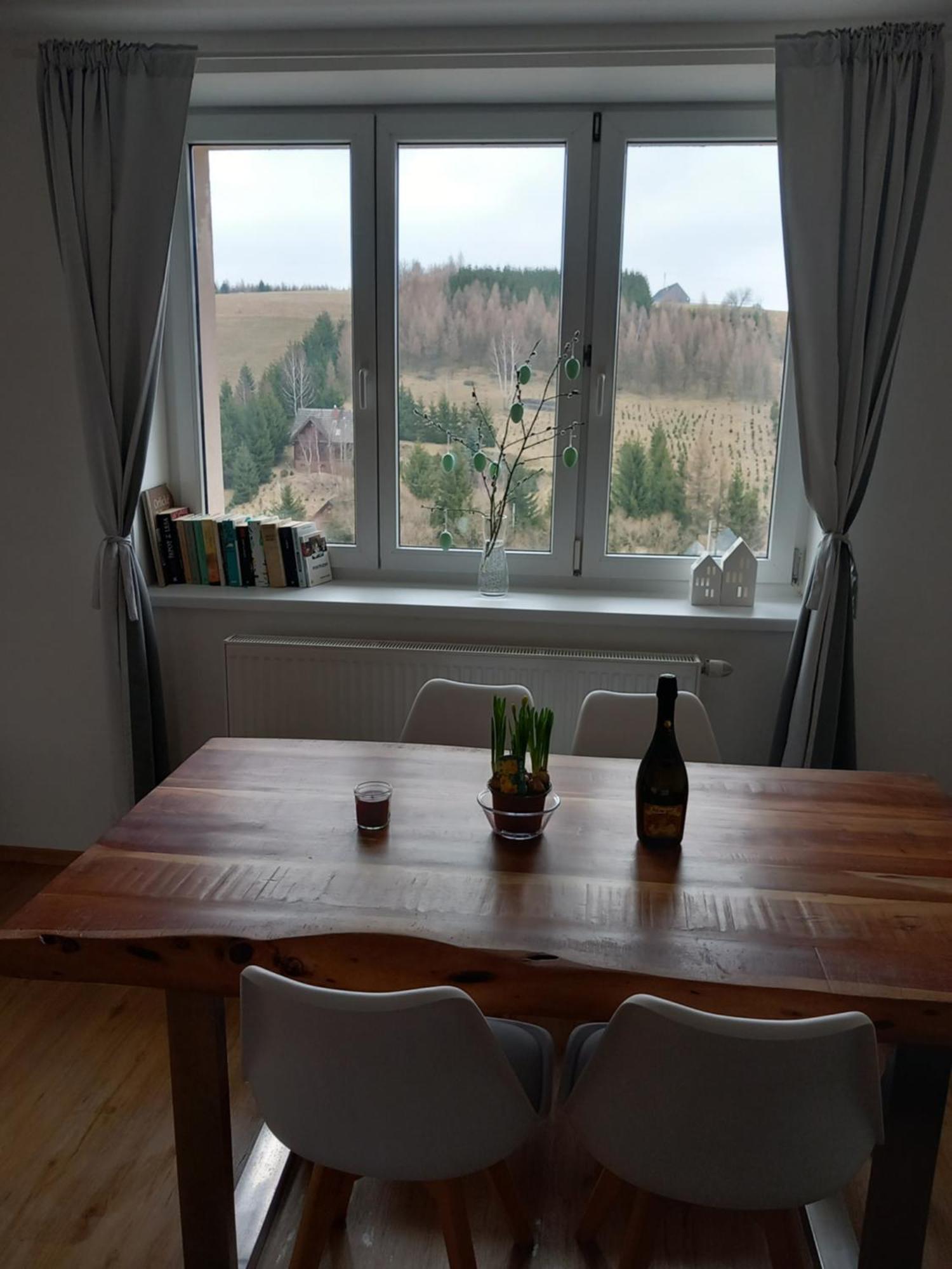 Apartman U Kunstatskeho Mlyna Orlicke Zahori Zewnętrze zdjęcie