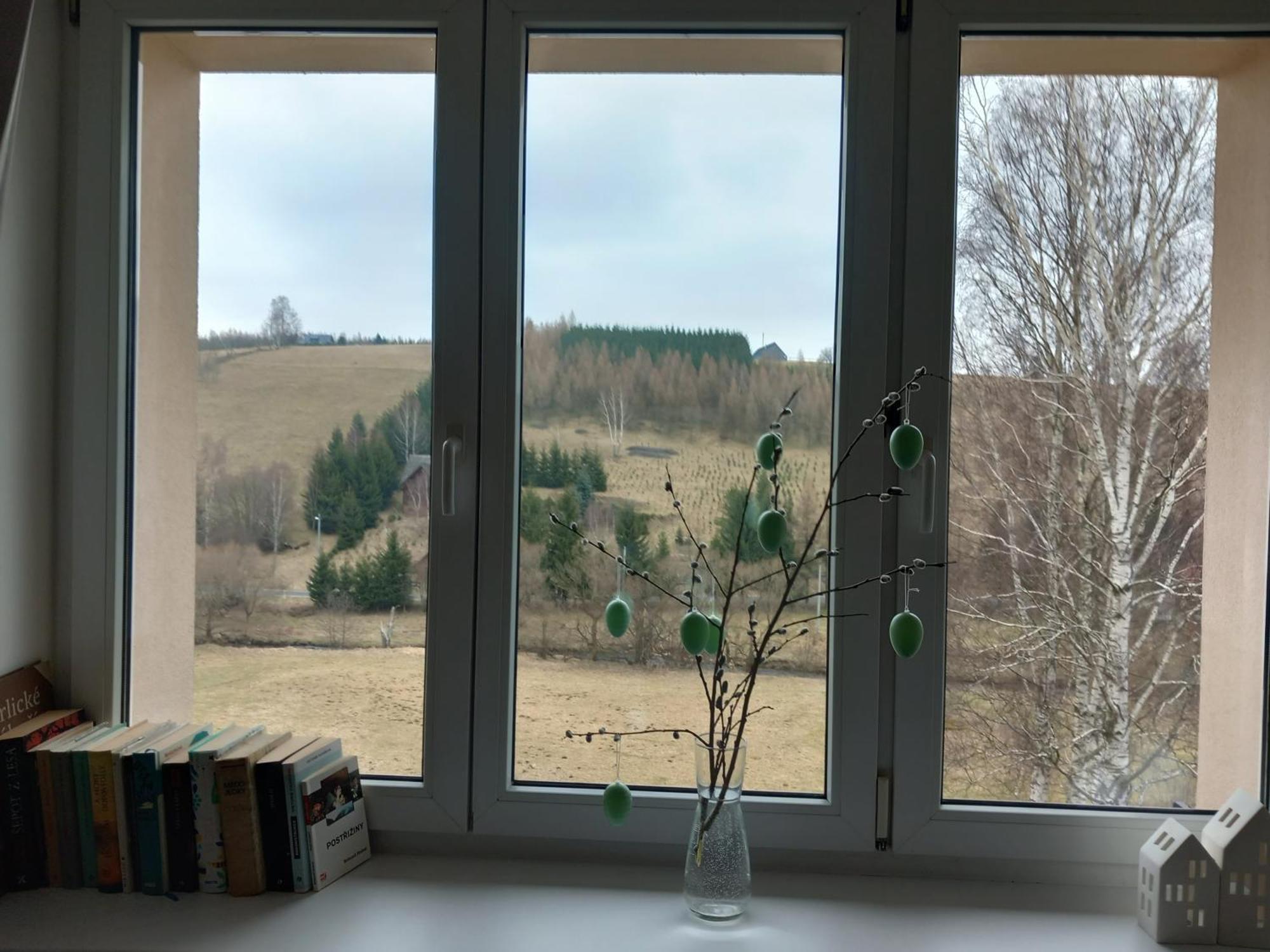 Apartman U Kunstatskeho Mlyna Orlicke Zahori Zewnętrze zdjęcie